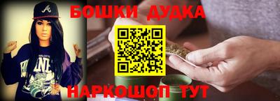 индика Боровичи