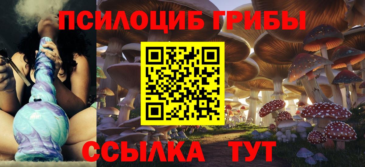 Псилоцибиновые грибы Cubensis Артём